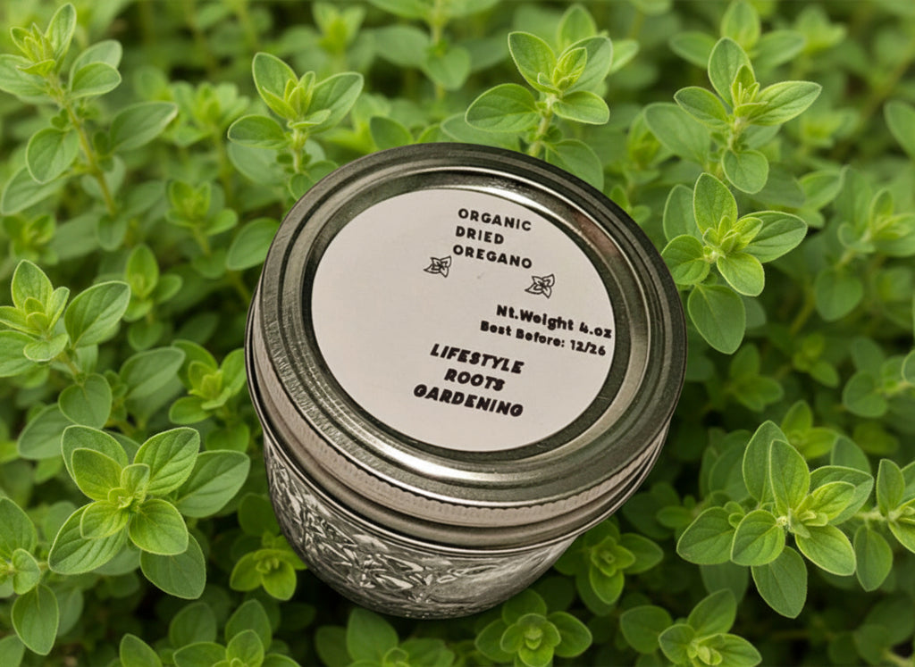 Homegrown/Organic Dried Oregano