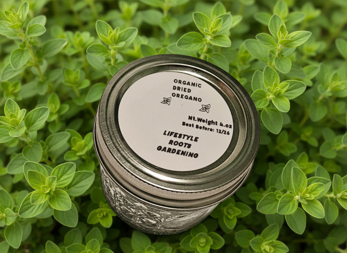 Homegrown/Organic Dried Oregano